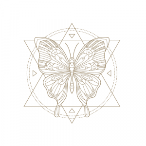 ROUE DE MEDECINE DE LA ROSE