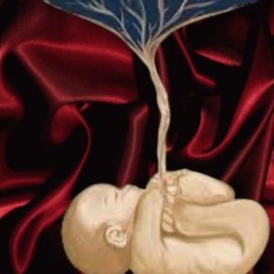 Formation séance holistique au suivi de grossesse