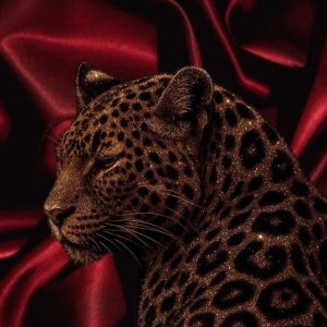 Communication animale et soin