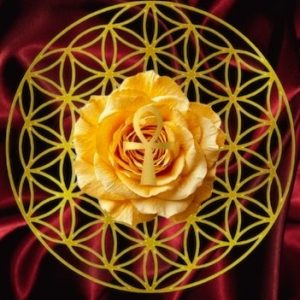 ROUE DE MEDECINE DE LA ROSE